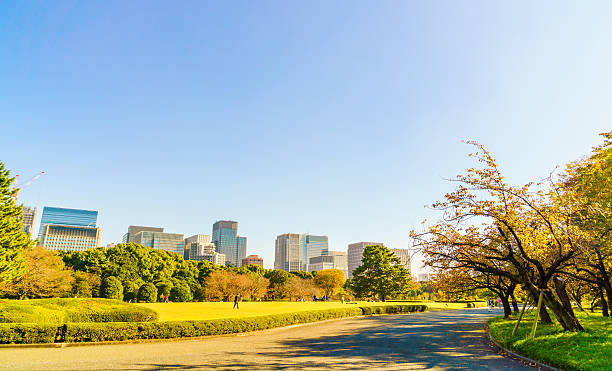 istock Cityscape of Tokyo 622010066