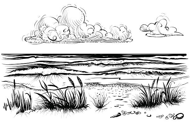 ilustrações de stock, clip art, desenhos animados e ícones de ocean or sea beach with waves, sketch. - tropical storm illustrations