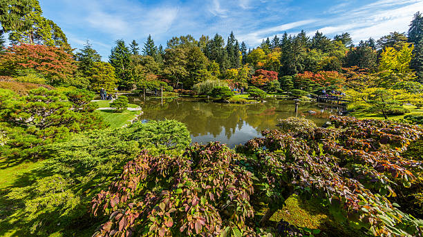 istock Lake in the autumn park. Bright trees. Beautiful landscape. 622013108