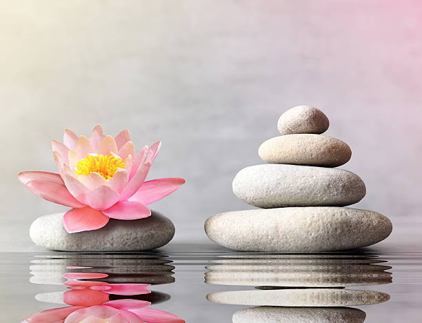 istock stones balance with flower lily on grey background 622013390
