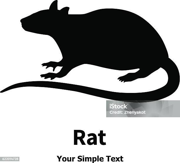 Vector Illustration Of A Silhouette Of The Rat Stock Illustration - Download Image Now - In Silhouette, Rat, Animal