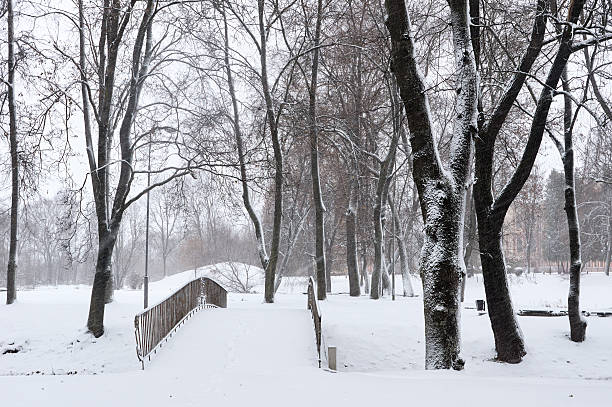 istock Snowfall in the city streets 622014784