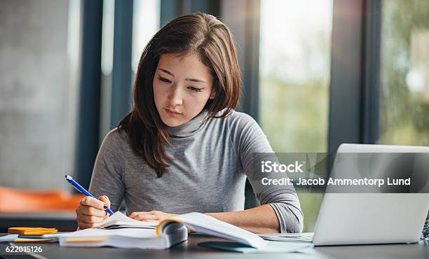 Woman Taking Down Notes In Diary Stock Photo - Download Image Now - Educational Exam, Studying, Learning