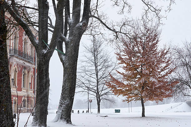 istock Snowfall in the city streets 622015290