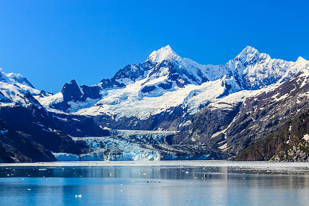 parque nacional da baía de glacier, alasca - ice cold glacier blue imagens e fotografias de stock