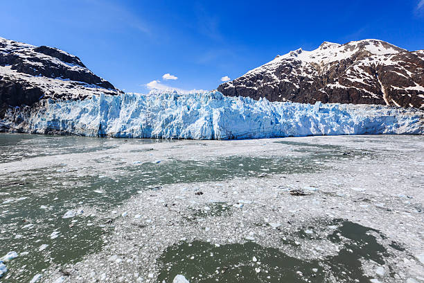 istock Glacier Bay National Park, Alaska 622017470