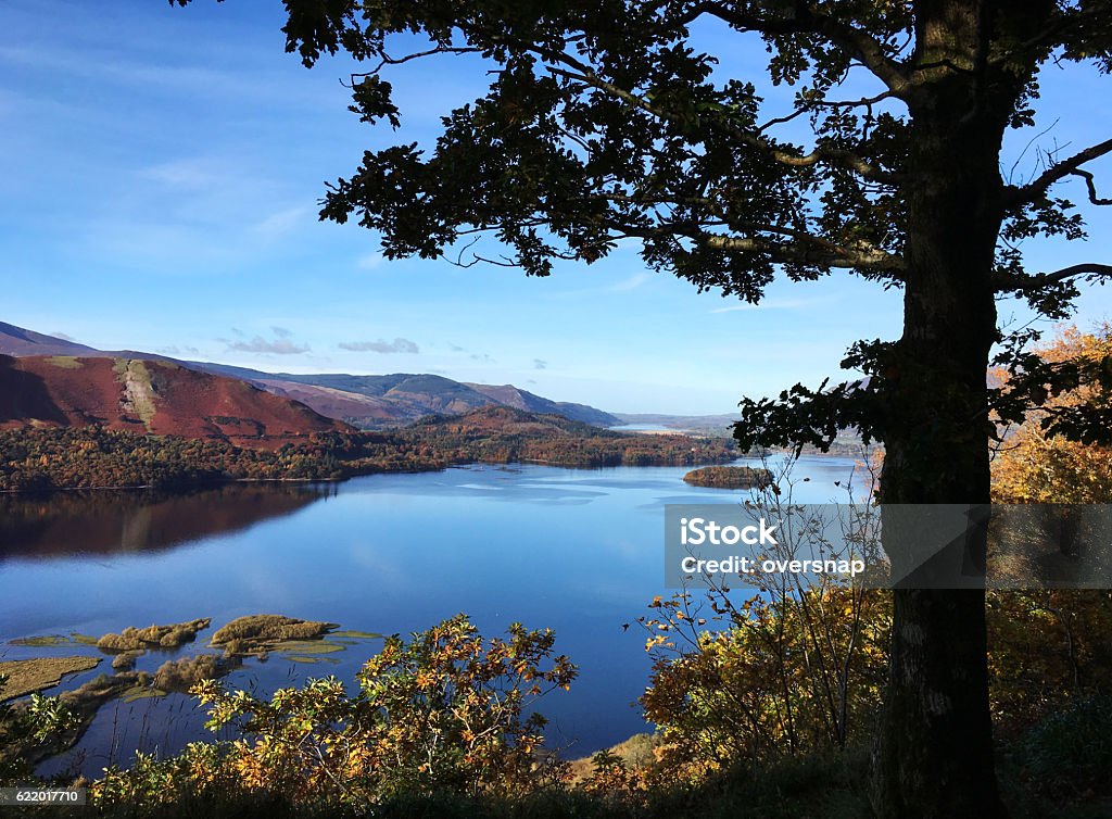 Derwent Water The famous "surprise" view of Derwent Water in the English Lake District -  autumn colours framed by the silhouette of an English Oak tree Scenics - Nature Stock Photo