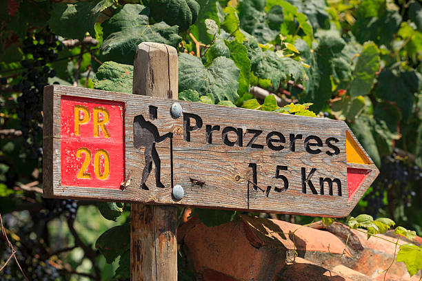 istock sign of a walking route along the Madeiran coast 622018216