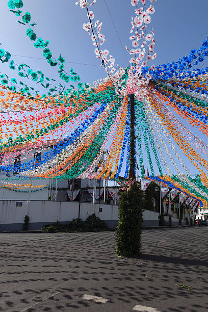 istock flower garland decoration at Madeira 622033212