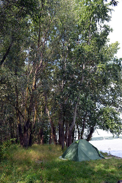 istock Camping on the shores of the Danube 622034130