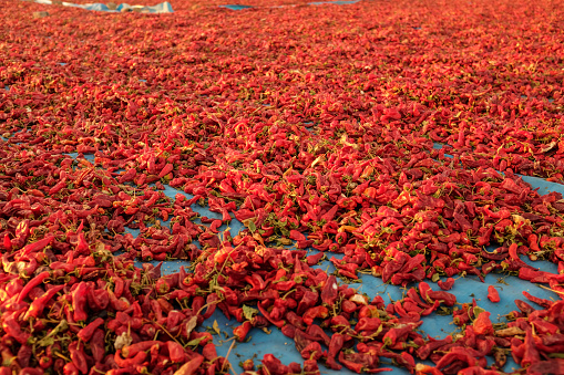 Dried red peppers