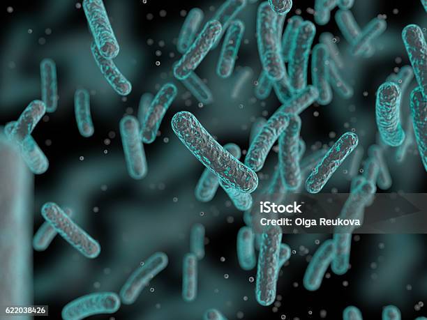 Bacteria Microbes Stock Photo - Download Image Now - Bacterium, Microscope, Biological Cell