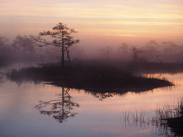 istock Beautiful sunrise in Kakerdaja Bog in September 622038888