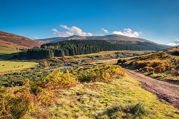 College Valley and The Cheviot