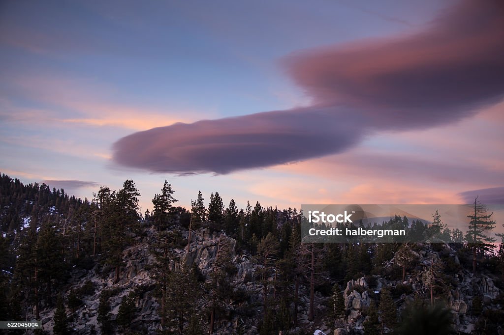 Forest on Hillside and Lenticular Clouds Lenticular clouds handing over snow covered trees on the slopes of the Sierra Nevada mountains. Californian Sierra Nevada Stock Photo
