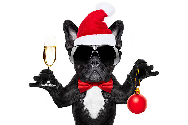 istock santa claus christmas dog 622045486