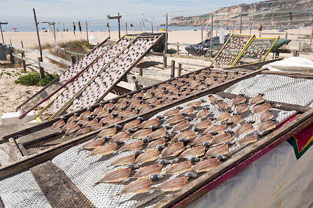 Fish drying on the beach in Nazare - Portugal