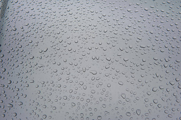 istock drops of water-repellent surface in black & white 622047194