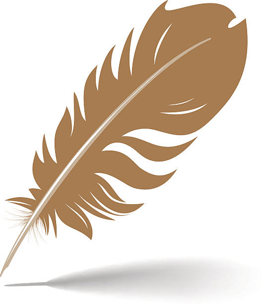 Feather vector art illustration