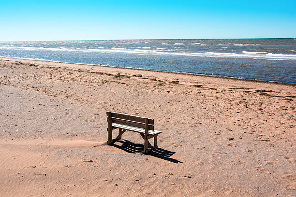 istock Bench on a PEI sandy beach - no people 622048806