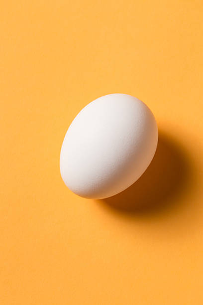 istock The egg is on the yellow background. 622050086