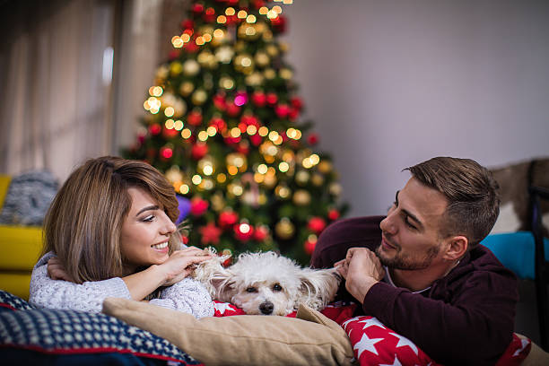 istock Couple with their dog whaiting for incoming holidays 622052166