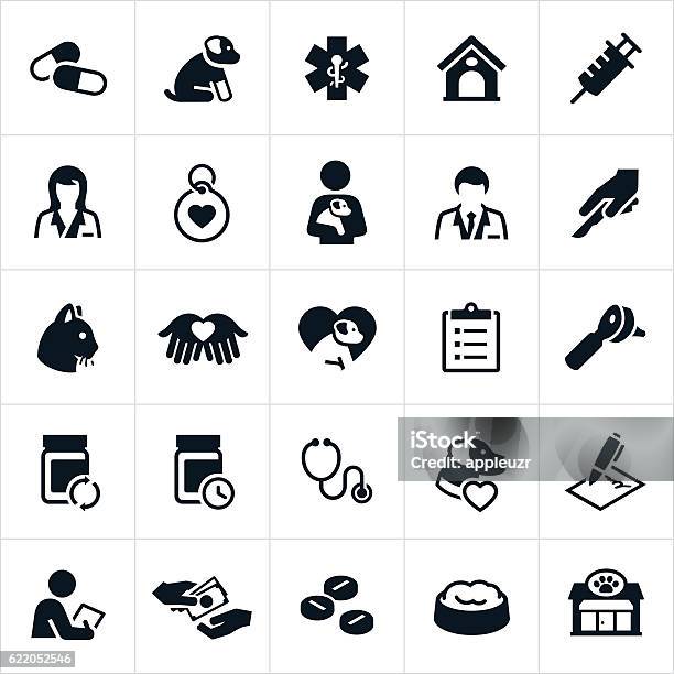 Pet Insurance Icons Stock Illustration - Download Image Now - Icon Symbol, Veterinarian, Pets