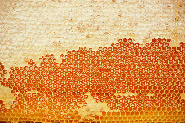 a nido d'ape  - honey purity raw pollination foto e immagini stock