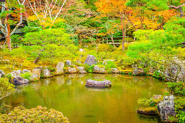 istock Autumn Colored Tree and Pond in Park 622054718