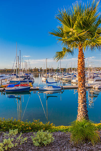 San Diego Bay with recreational boats, California Lazy summer afternoon at San Diego Bay and marina, California marina california stock pictures, royalty-free photos & images
