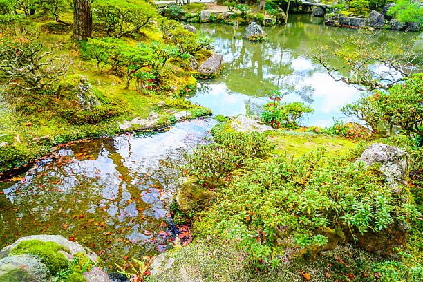 Autumn Colored Tree and Pond in Park