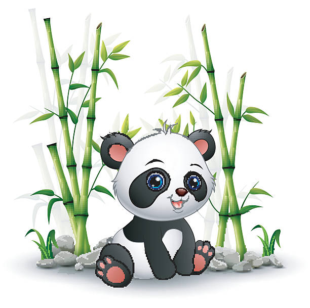 baby panda siedzi wśród bambusa łodygi - animal animal themes tropical rainforest cartoon stock illustrations