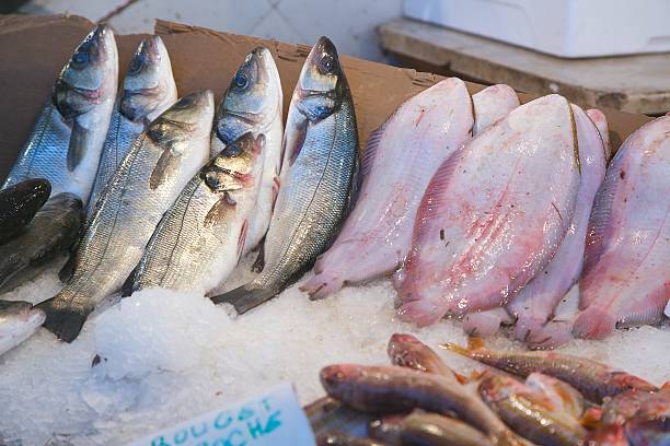 istock Fresh fished fish at the fish market 622059702