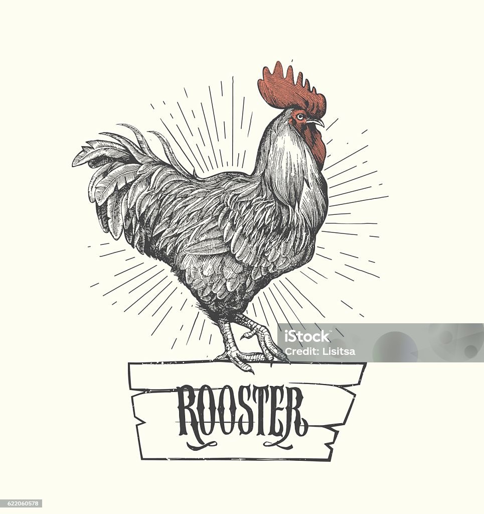 Rooster in graphic style, hand drawn illustration. Vector Rooster in graphic style, hand drawn illustration. Rooster stock vector