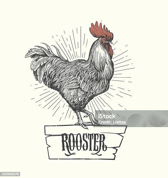 Rooster In Graphic Style Hand Drawn Illustration Vector Stock Illustration - Download Image Now