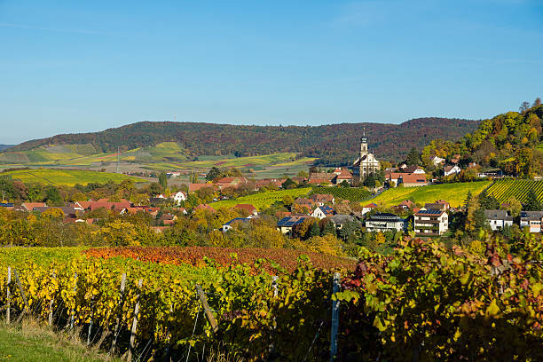 Vineyards in fall Vivid colors of vineyards in fall franconia stock pictures, royalty-free photos & images