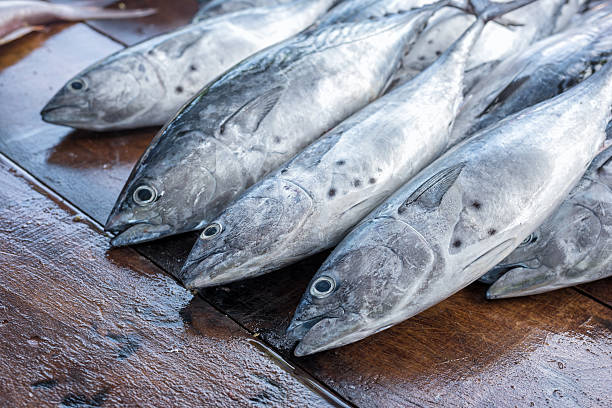 istock Fresh raw tuna fish in market 622062542