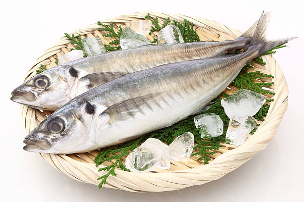 Horse mackerel a fresh fish called a horse mackerel with ice cube caranx stock pictures, royalty-free photos & images