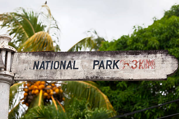 Signpost to the Black River Gorge National Park with a coconut palm in the background. The Black River Gorge National Park was opened in Mauritius in 1994 to preserve a large part of the island’s remaining rainforest and many of the endemic plants, animals and birds, such as the endemic Echo Parakeet and Mauritius Kestrel.