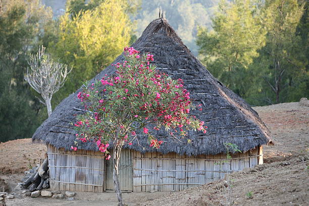 istock ASIA EAST TIMOR TIMOR LESTE MOUBISSE LANDSCAPE 622068770