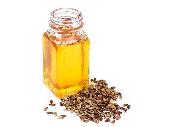 istock Thistle oil in bottle and seeds 622069722