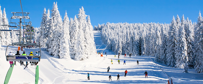 Coniferous forest covered by snow with skiing slopes in the foreground and Rocky Mountains in the background. This photograph was taken in Vail, Colorado.