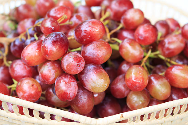 uvas vermelhas em um fundo branco. - globe grape - fotografias e filmes do acervo