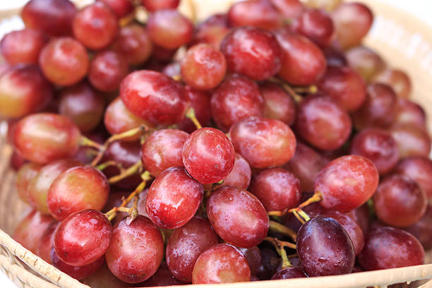 rojo uvas sobre un fondo blanco. - globe grape fotografías e imágenes de stock