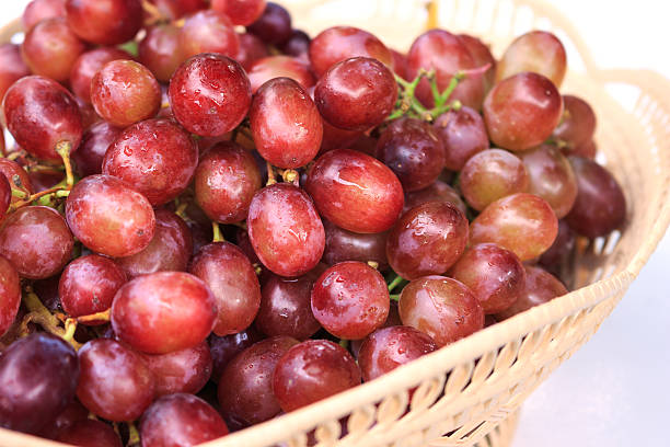 uvas vermelhas em um fundo branco. - globe grape - fotografias e filmes do acervo