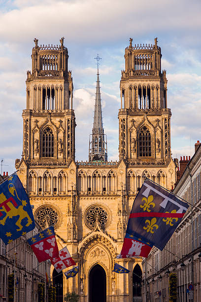 オルレアンのサントクロワ大聖堂の夕日 - orleans ストックフォトと画像