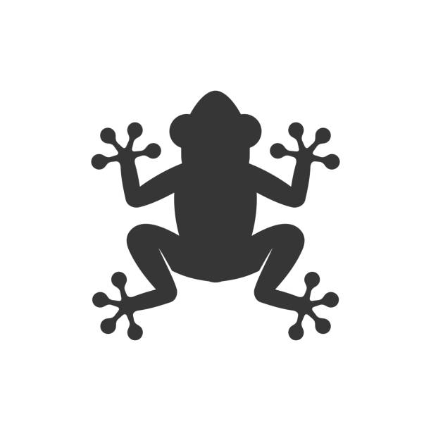 Frog Icon Logo on White Background. Vector Frog Icon Logo on White Background. Vector illustration frog illustrations stock illustrations