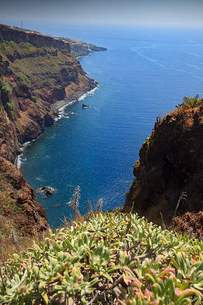 istock aerial view on the coast seen from Ponta do Garajau 622177832