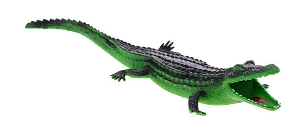 A toy alligator with an opened mouth isolated on a white background.