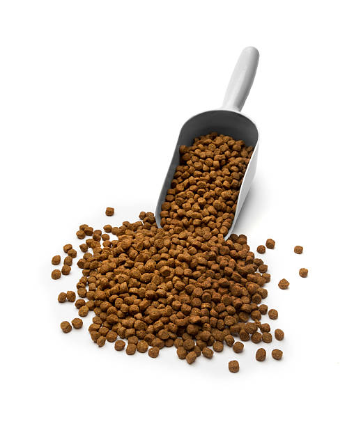 istock Cat dry food in plastic shovel on white 622180698